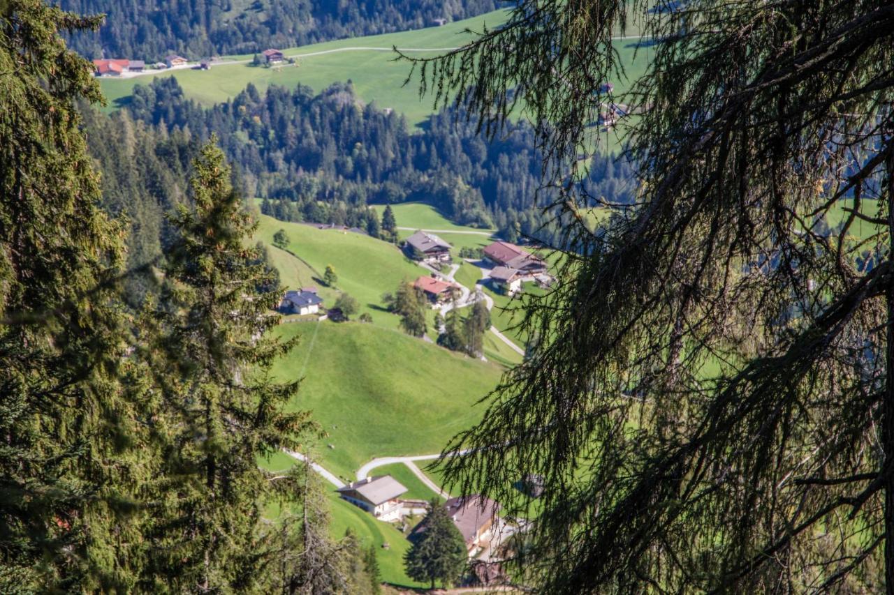 Tradlhof * Thierbach